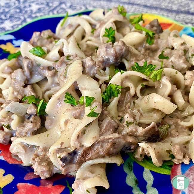 close up of ground beef stroganoff with lots of noodles and garnished with parsley