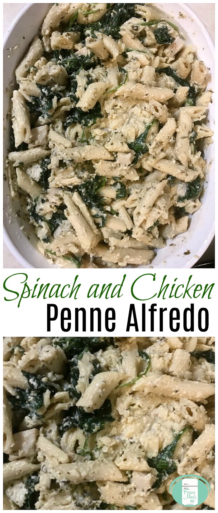 Make Ahead Spinach and Chicken Penne Alfredo #freezermeals101 #freezermeals #pastarecipe #familyfriendlymeals #easyrecipes #makeahead