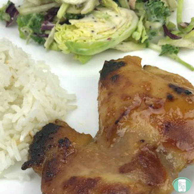 close up of mahjong chicken with salad and rice