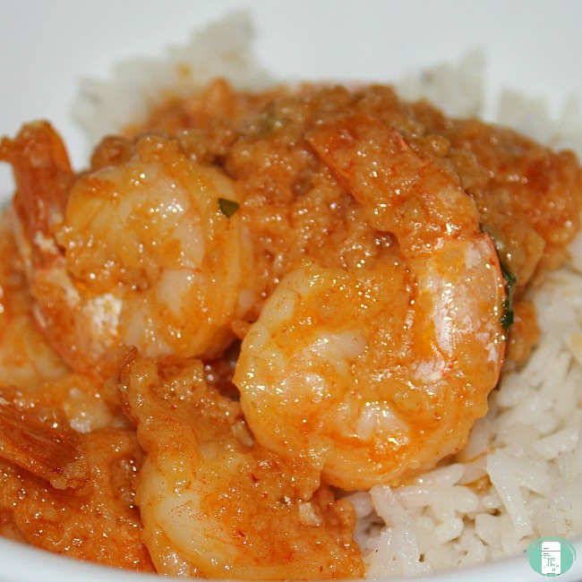 close up of Instant Pot red curry shrimp on rice