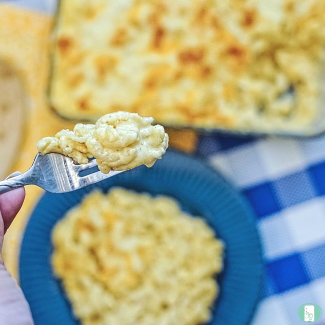 close up of make ahead mac and cheese in a bowl with some on a fork