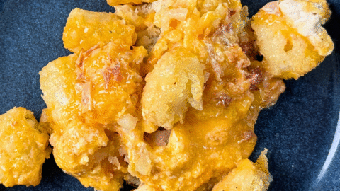 tater tots, bacon, chicken, and cheese on a plate