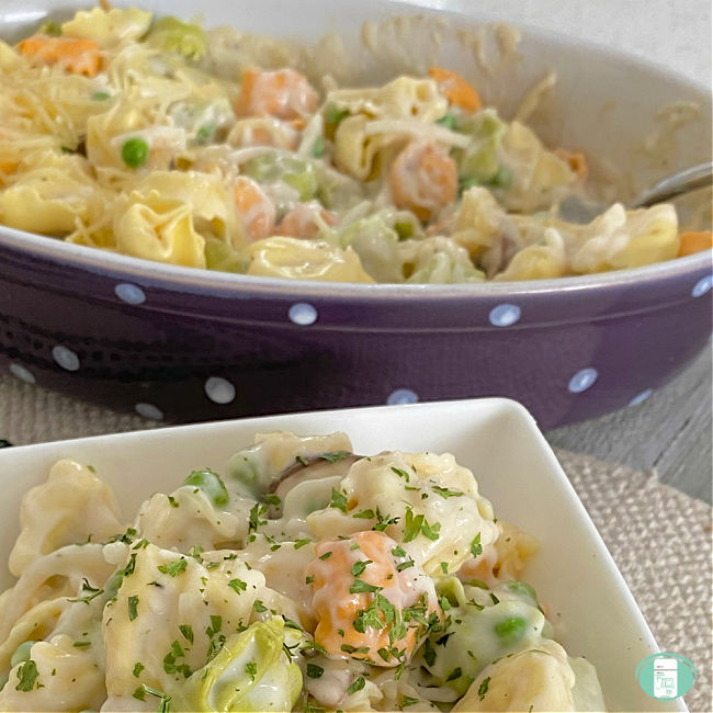 tortellini Alfredo in a white sauce in a square bowl and oval dish