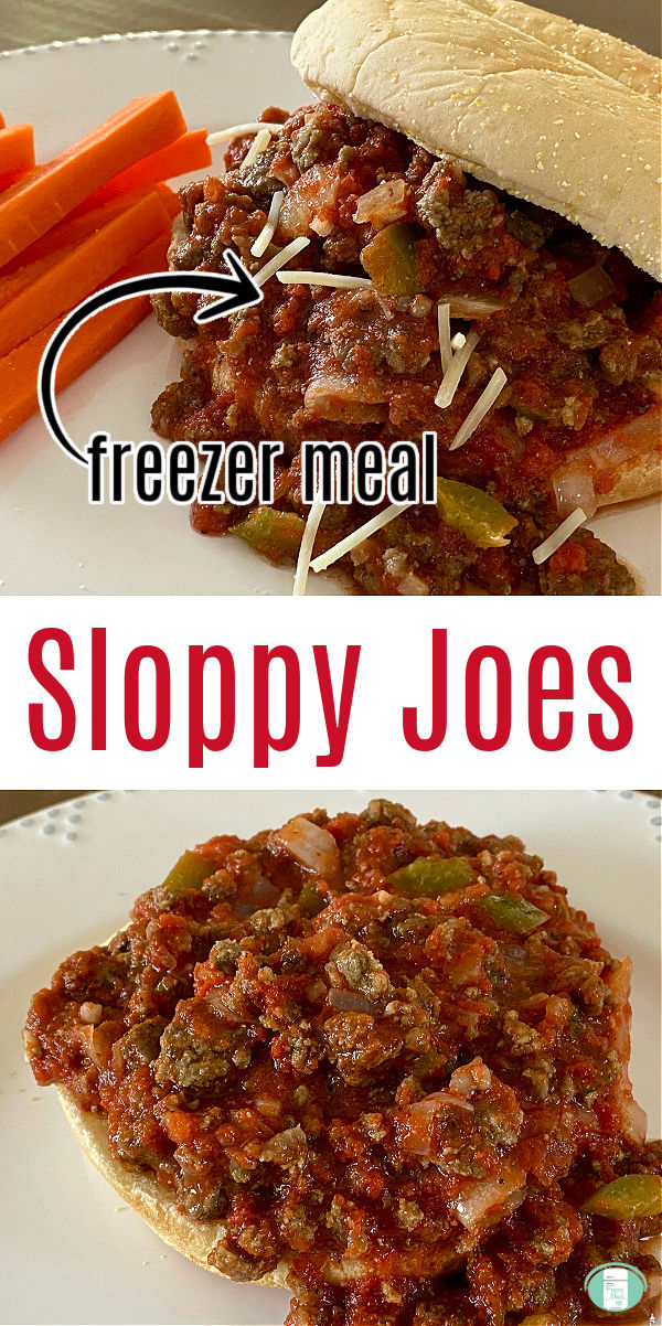 bun filled with meat sauce on a plate next to carrots. Text reads "freezer meal Sloppy Joes" #freezermeals101 #sloppyjoes #makeahead #freezersloppyjoes