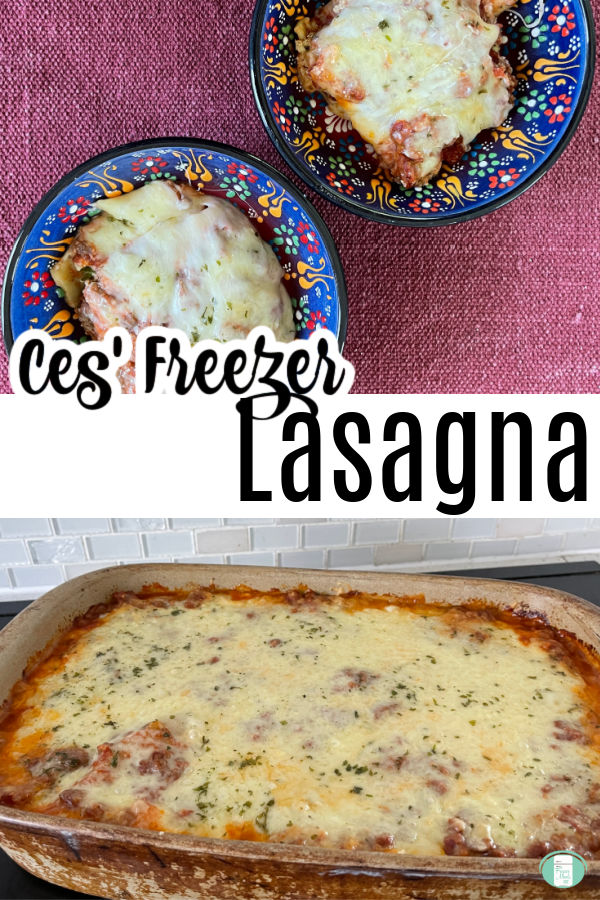 casserole of lasagna and it served in two bowls