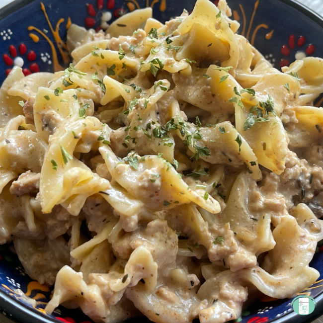 wide egg noodles topped with stroganoff sauce in a bowl