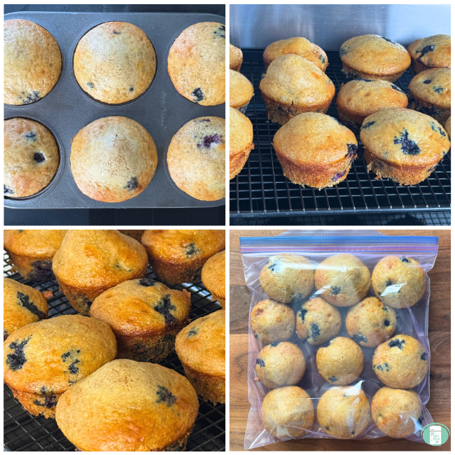 Photo collage of blueberry muffins in muffin tin, on cooling rack, close up of muffins, muffins in freezer bag. 