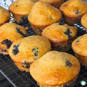 blueberry muffins on a cooling rack